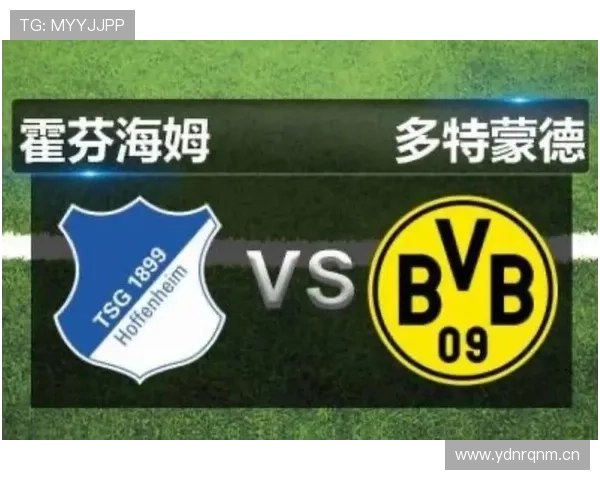 霍芬海姆本赛季数据分析：进攻效率提升，防守稳定性仍需加强