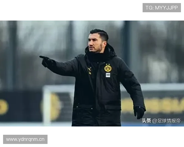 德甲法兰克福转会