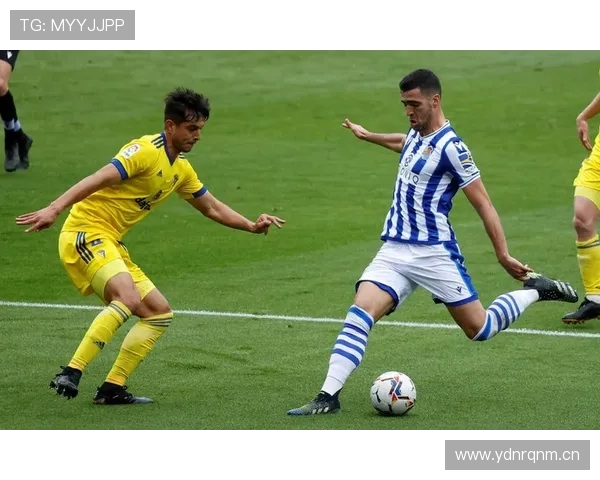 B费强强对话中的表现稳定性如何体现?